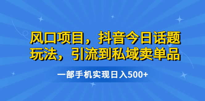 【副业项目6791期】风口项目，抖音今日话题玩法，引流到私域卖单品，一部手机实现日入500+-村长副业网