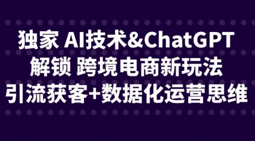 【副业项目6780期】独家 AI技术&ChatGPT解锁 跨境电商新玩法，引流获客+数据化运营思维-村长副业网