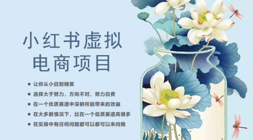 【副业项目6786期】小红书虚拟电商从0到1，让你从小白到精英（20节实操课程）-村长副业网