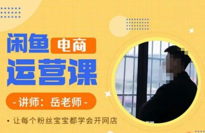 【副业项目6829期】岳老师·闲鱼电商运营课，让每个粉丝宝宝都学会开网店-村长副业网