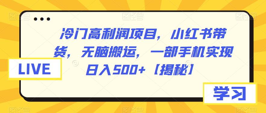 【副业项目6875期】冷门高利润项目，小红书带货，无脑搬运，一部手机实现日入500+【揭秘】-村长副业网