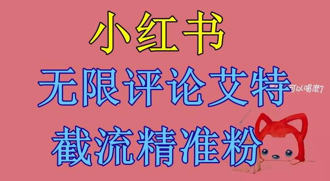 【副业项目6846期】小红书无限评论艾特截流精准粉（软件+教程）-村长副业网