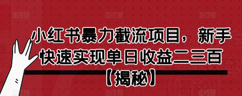 【副业项目6889期】小红书暴力截流项目，新手快速实现单日收益二三百【仅揭秘】-村长副业网