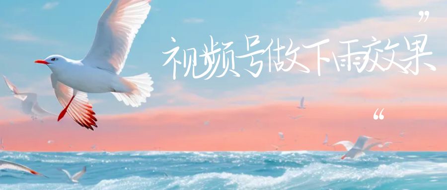 【副业项目6913期】视频号做下雨视频一个账号一周涨粉10W+年入100w-村长副业网