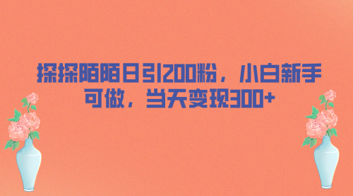【副业项目7026期】探探陌陌日引200粉，小白新手可做，当天就能变现300+-村长副业网