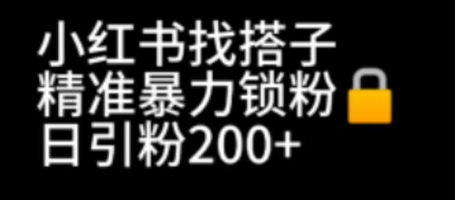 【副业项目7040期】小红书找搭子暴力精准锁粉+引流日引200+精准粉-村长副业网