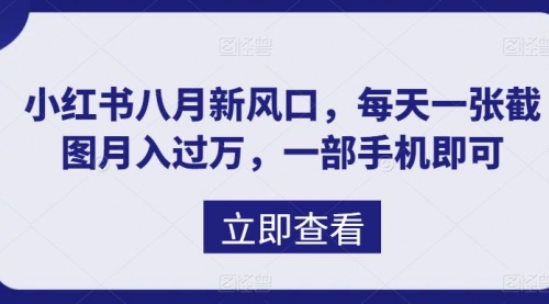 【副业项目7078期】八月新风口，小红书虚拟项目一天收入1000+-村长副业网