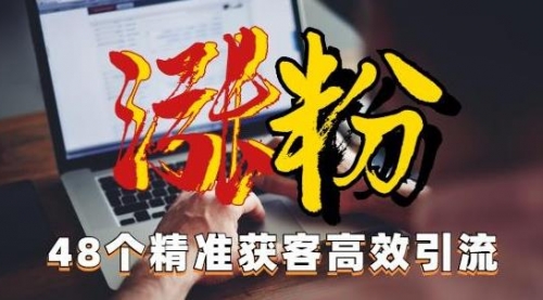 【副业项目7097期】独家分享48个引流绝技，再没粉丝只能怪自己了！-村长副业网