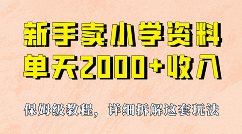【副业项目7100期】卖小学资料，实现单天2000+，实操项目，保姆级教程+资料+工具-村长副业网