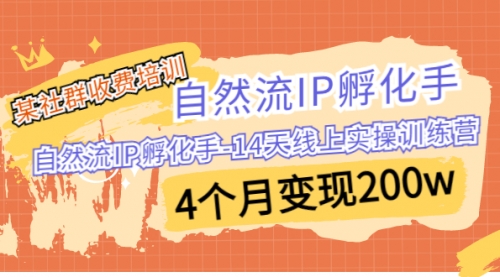 【副业项目7109期】自然流IP孵化手-14天线上实操训练营 4个月变现200w-村长副业网