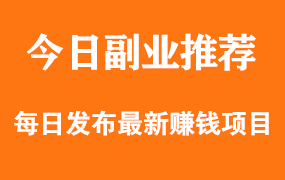 【副业项目1243期】出售各种软件的流量赚钱，结合一些技巧一天可赚300元-800元-村长副业网