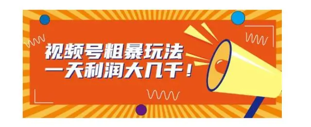【副业项目7125期】视频号粗暴玩法，一天利润大几千！-村长副业网