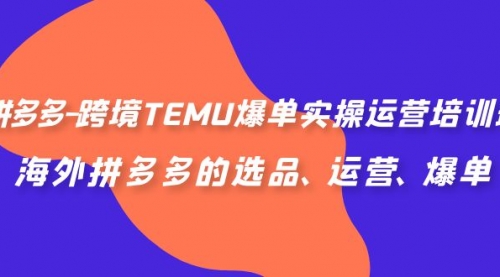 【副业项目7128期】拼多多-跨境TEMU爆单实操运营培训班，海外拼多多的选品、运营、爆单-村长副业网