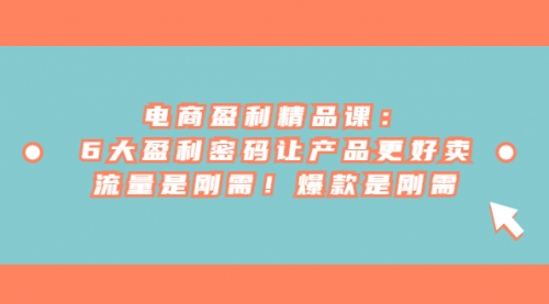 【副业项目7132期】电商盈利精品课：6大盈利，密码让产品更好卖，流量是刚需-村长副业网