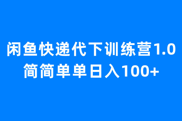 【副业项目6954期】闲鱼快递代下训练营1.0，简简单单日入100+-村长副业网