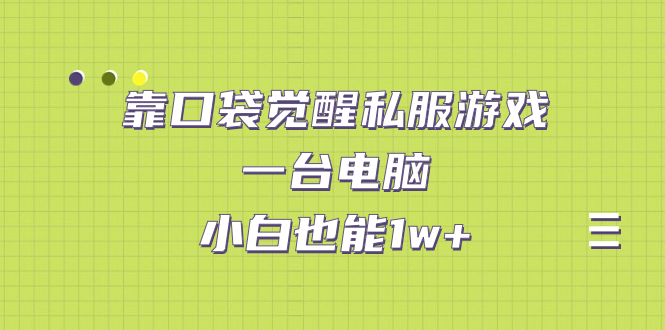 【副业项目7248期】靠口袋觉醒私服游戏，一台电脑，小白也能1w+（教程+工具+资料）-村长副业网