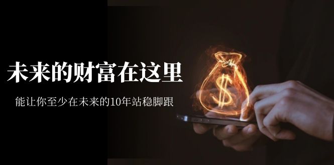 【副业项目7298期】某收费文章《未来的财富在这里》能让你至少在未来的10年站稳脚跟-村长副业网