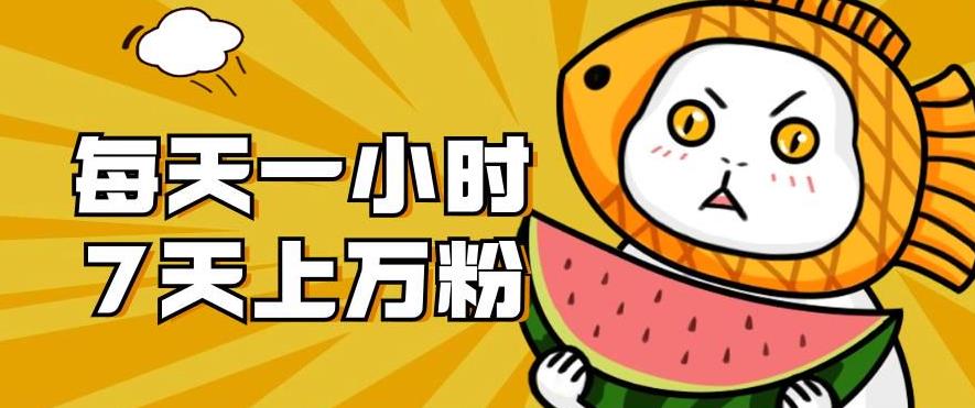【副业项目7361期】暴力涨粉项目：每天一小时，七天上万粉【揭秘】-村长副业网