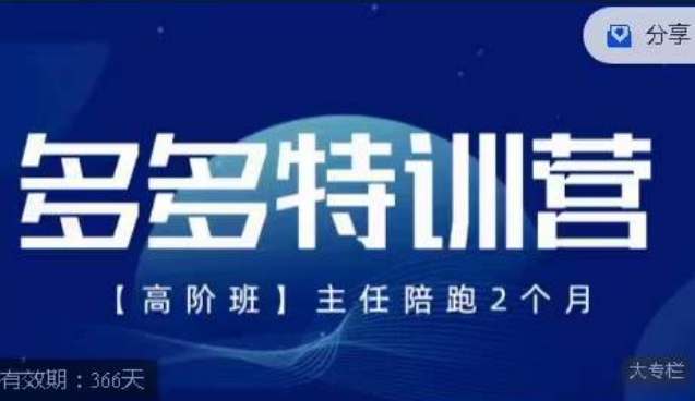 【副业项目7488期】纪主任·多多特训营高阶班，拼多多最新玩法技巧落地实操-村长副业网