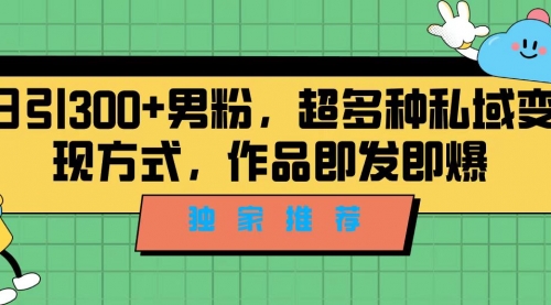 【副业项目7191期】独家推荐！日引300+男粉，超多种私域变现方式-村长副业网