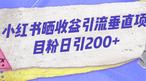 【副业项目7194期】小红书晒收益图引流垂直项目粉日引200+-村长副业网