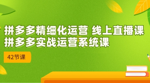 【副业项目7292期】2023年新课-拼多多精细化运营-村长副业网