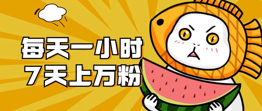 【副业项目7328期】暴力涨粉项目，每天一小时，7天上万粉-村长副业网