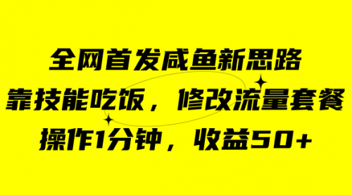 【副业项目7720期】咸鱼冷门新玩法，靠“技能吃饭”，修改流量套餐，操作1分钟，收益50+-村长副业网