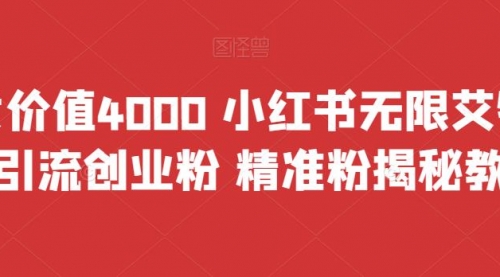 【副业项目7956期】价值4000 小红书无限艾特暴力引流创业粉 精准粉揭秘教程-村长副业网