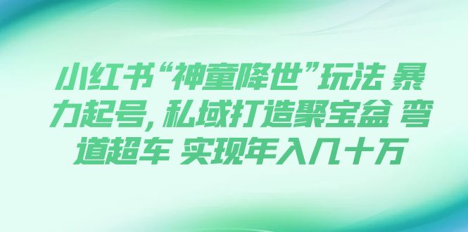 【副业项目7983期】小红书“神童降世”玩法 暴力起号,私域打造聚宝盆-村长副业网