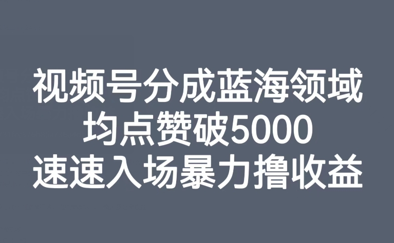 【副业项目8023期】视频号分成蓝海领域，均点赞破5000，速速入场暴力撸收益-村长副业网