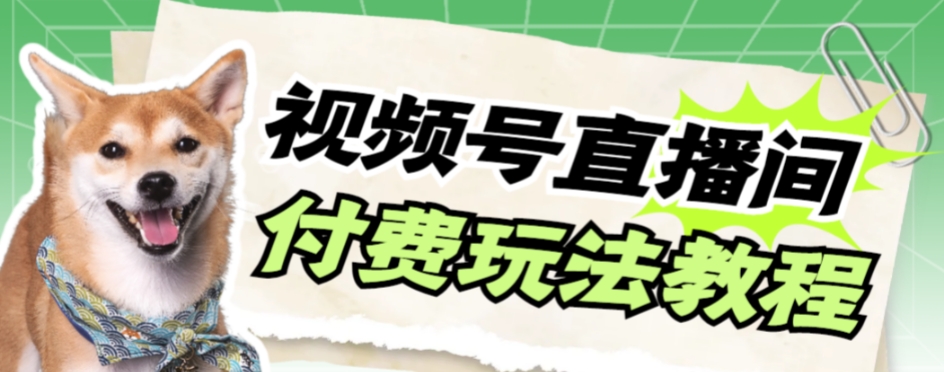 【副业项目7973期】视频号美女付费无人直播，轻松日入500+-村长副业网