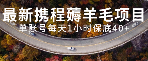 【副业项目8232期】最新携程薅羊毛项目，单账号每天1小时保底收益40+，可矩阵操作-村长副业网