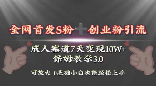 【副业项目8506期】成人用品赛道7天变现10w+保姆教学3.0-村长副业网
