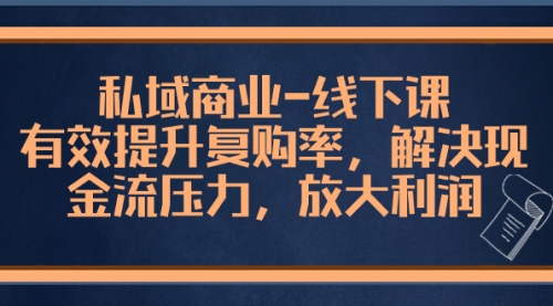 【副业项目8578期】私域商业-线下课，有效提升复购率，解决现金流压力，放大利润-村长副业网