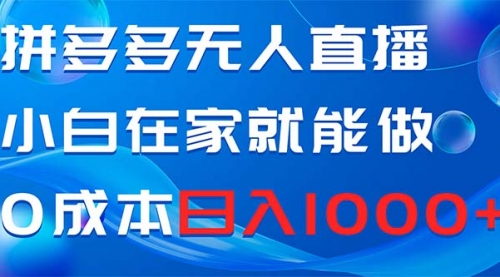 【副业项目8603期】拼多多无人直播，小白在家就能做，0成本日入1000+-村长副业网