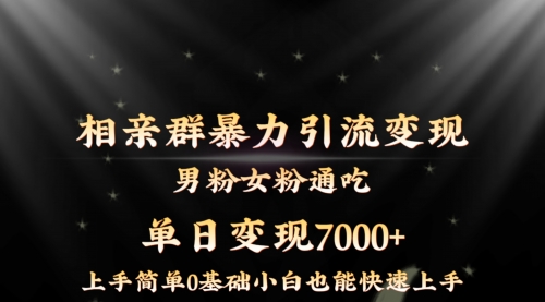 【副业8845期】相亲群暴力引流男粉女粉通吃变现玩法，单日变现7000+保姆教学1.0-村长副业网