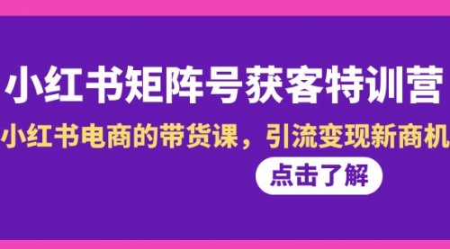 【副业8962期】小红书-矩阵号获客特训营-第10期，小红书电商的带货课，引流变现新商机-村长副业网