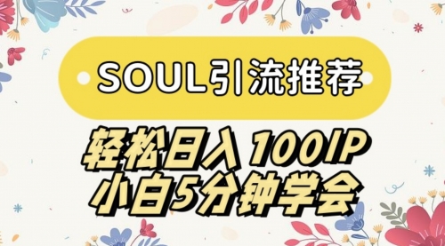 【副业9006期】SOUL引流推荐 轻松日入100IP 小白5分钟学会-村长副业网