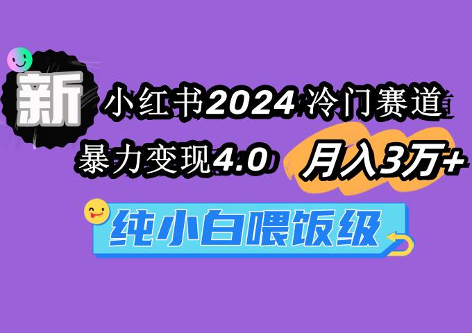 小红书2024冷门赛道 月入3万+ 暴力变现4.0 纯小白喂饭级-村长副业网