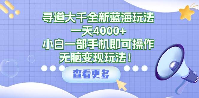 寻道大千全新蓝海玩法，一天4000+，小白一部手机即可操作，无脑变现玩法！-村长副业网