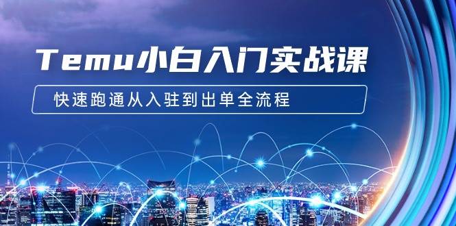 Temu小白入门实战课：跨境拼多多电商培训 快速跑通从入驻到出单全流程-12节-村长副业网