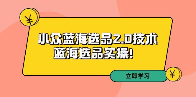 拼多多培训第33期：小众蓝海选品2.0技术-蓝海选品实操！-村长副业网