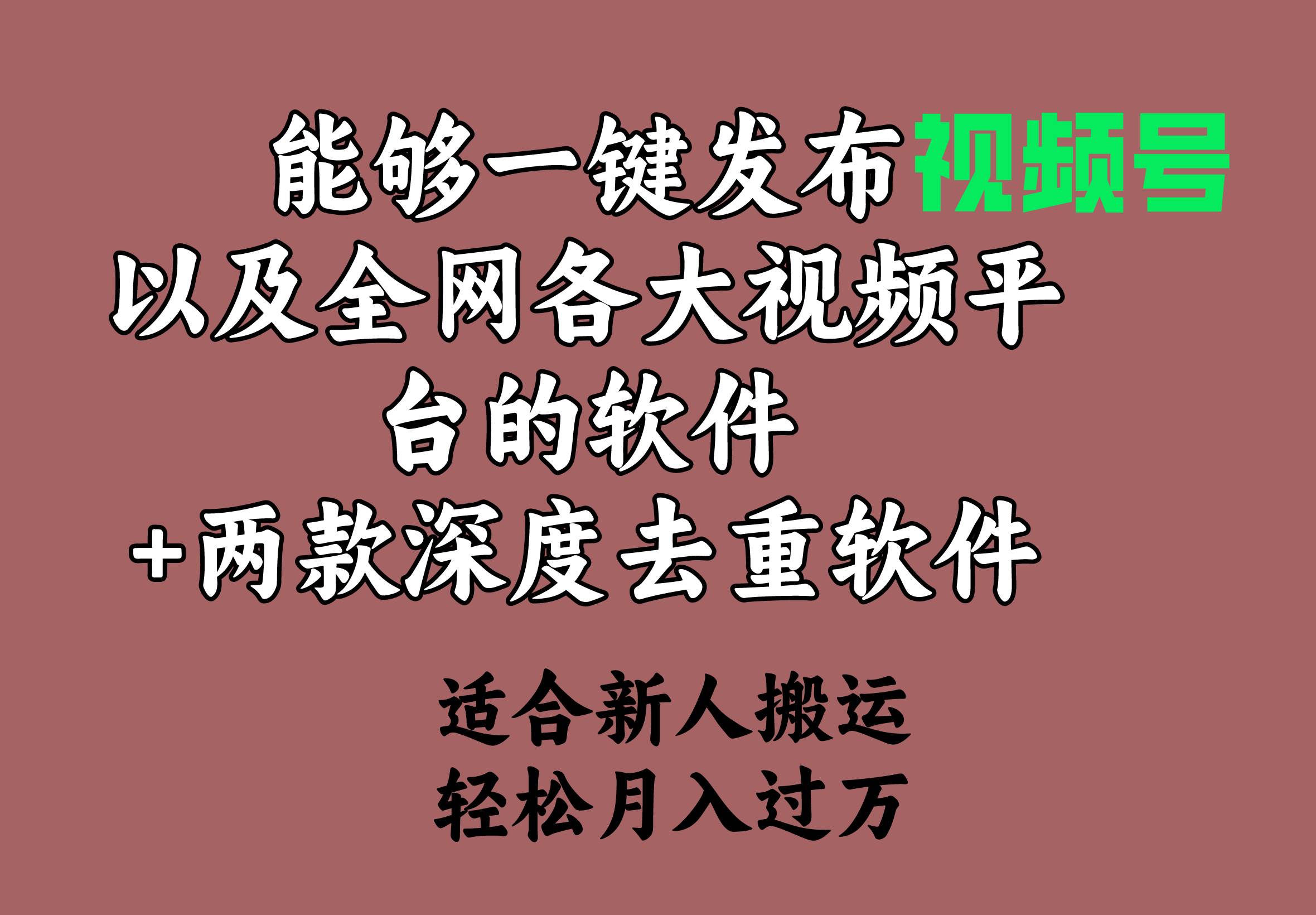 能够一键发布视频号以及全网各大视频平台的软件+两款深度去重软件 适合…-村长副业网