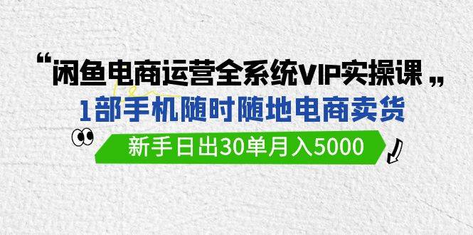 闲鱼电商运营全系统VIP实战课，1部手机随时随地卖货，新手日出30单月入5000-村长副业网