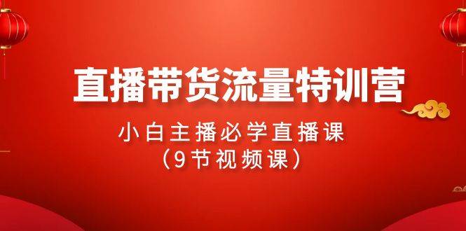 2024直播带货流量特训营，小白主播必学直播课（9节视频课）-村长副业网
