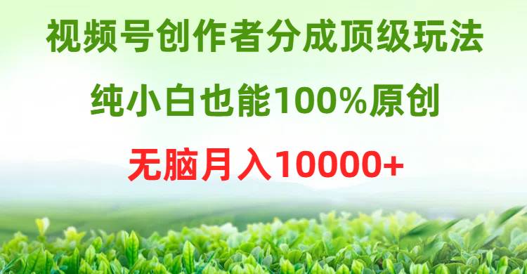 视频号创作者分成顶级玩法，纯小白也能100%原创，无脑月入10000+-村长副业网