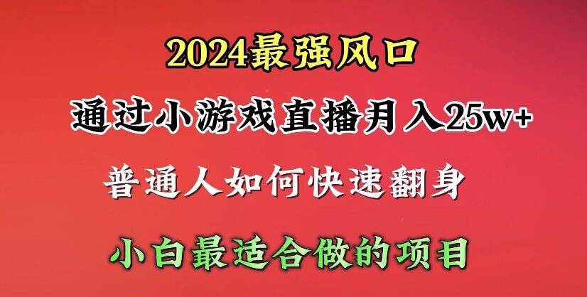 2024年最强风口，通过小游戏直播月入25w+单日收益5000+小白最适合做的项目-村长副业网