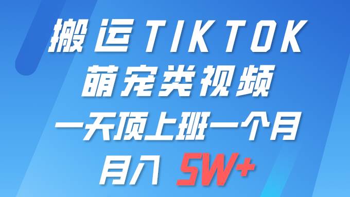 一键搬运TIKTOK萌宠类视频 一部手机即可操作 所有平台均可发布 轻松月入5W+-村长副业网