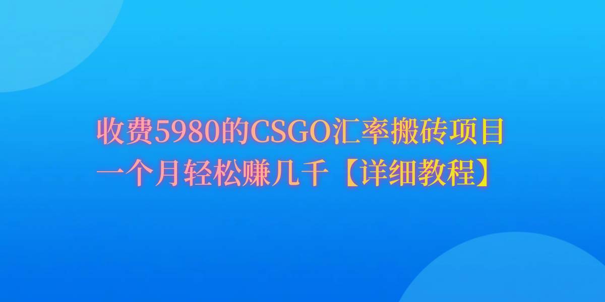 CSGO装备搬砖，月综合收益率高达60%，你也可以！-村长副业网